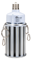 125W LED Post Top/High Bay Lamp, 5000K, EX39 - LPT125/850/EX39